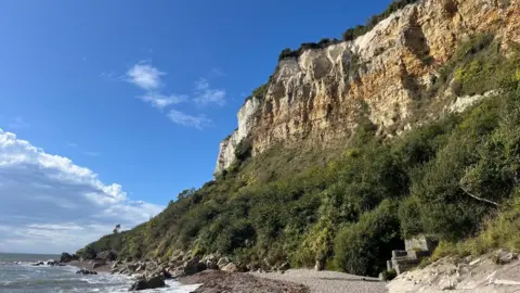 Miles Davis/BBC The cliffs at Seaton Hole with shrubs coming from halfway up the cliffs down to the sea shore