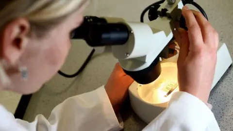 PA Media Woman looking at matter under a microscope.