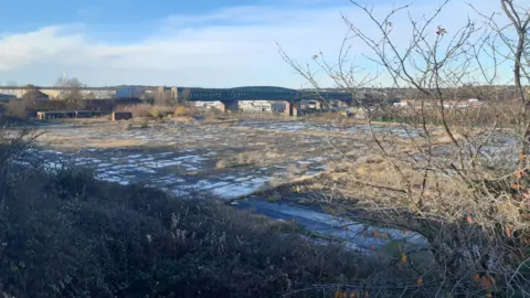 The former glassworks site at Deptford Terrace in Sunderland. The site is empty, with the ground covered in concrete paving. Grass and plants have grown across the land. The Queen Alexandra Bridge can be seen in the background.