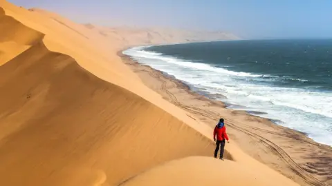 Getty Images Sand dunes and ocean Namibia