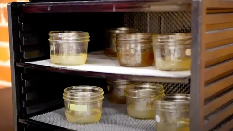 MeliBio Honey prototypes