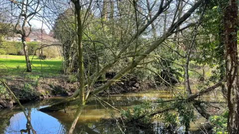 Mid Suffolk District Council The River Waveney. Around the river is foliage and fallen trees.