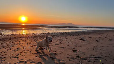 Jack Alston A dog sprints on the beach during sunset, with vibrant colours illuminating the sky and reflecting on the waves.
