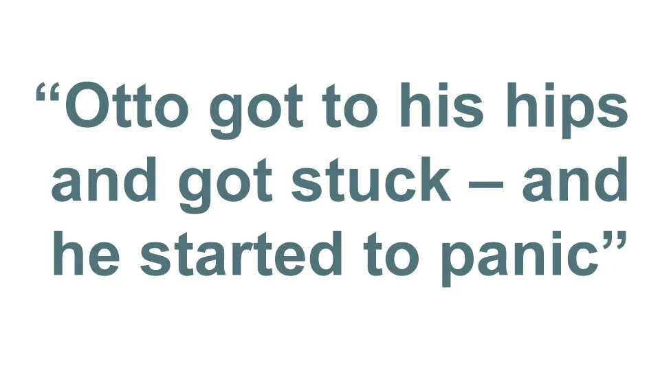 Quotebox: Otto got to his hips and got stuck - and he started to panic