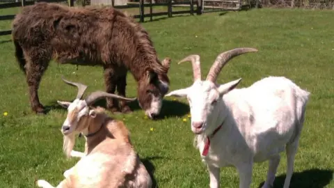 Dot Smith Harold with friends Billy and Maisie