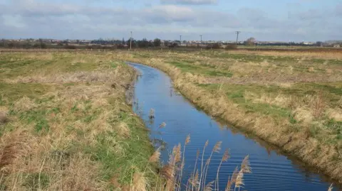 A ditch full of water on the Great Fen landscape in Cambridgeshire. Either side of the ditch is green fields. The sky is blue.