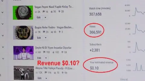 NASIM AGHDAM An image posted on Nasmim Aghdam's website in which she complains about making just 10 US cents from 300,000 video views