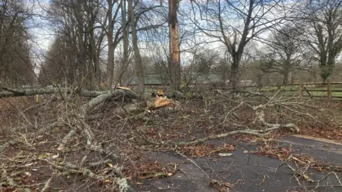 Pontcanna Fields, Cardiff