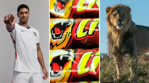 Montage: Jude Bellingham in a white England football kit, Close up of three Lion chocolate bars, A lion standing on vegetation looking out into the distance