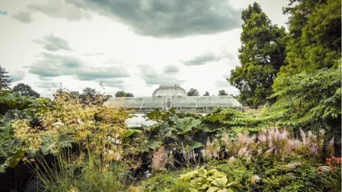 Getty Images Kew Gardens