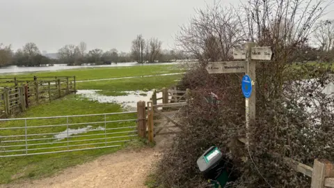 Luke Deal/BBC A wooden signpost - with one post pointing to Manningtree - stands in the right of the photo. There is cattle fencing and a metal gate in front of flooded fields.