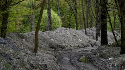 Piles of waste in Hoads Wood in Kent