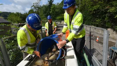 Canal and River Trust Teams catching the fish