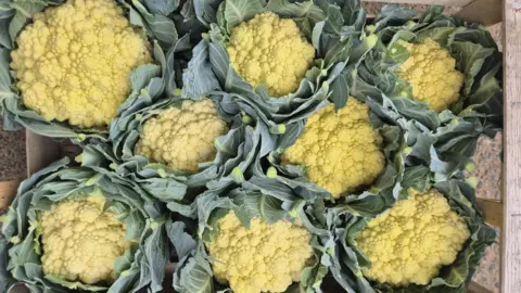 Oddbox A palette box containing eight cauliflower heads that are yellow.