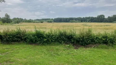 Amy Holmes/BBC A wide grassy meadow in the Ouse Valley Park bordered by hedges and trees under a cloudy sky.