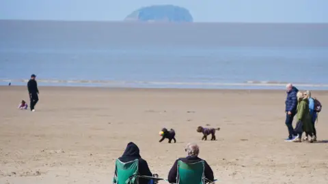 Two people sit on a beach facing out to an island in the distance. Walking in front of them are two dogs being followed by three dog walkers.