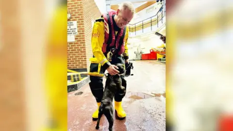 RNLI Rescued dog with volunteer