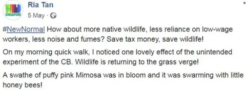 Ria Tan Facebook post saying: How about more native wildlife, less reliance on low-wage workers, less noise and fumes? Save tax money, save wildlife!