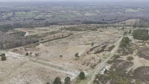 BBC Sussex landscape