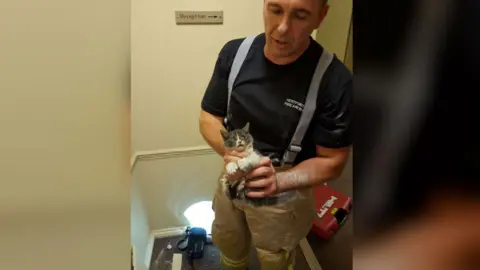 Herts Fire and Rescue Service Firefighter with kitten after rescue