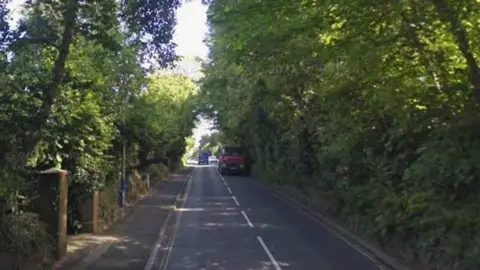 A narrow section of Quarterbridge Road, which is lined with trees at both sides.