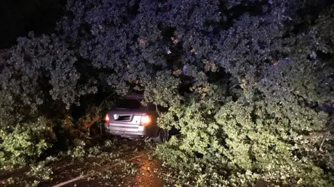 Nottinghamshire Fire and Rescue Tree on car in Trowell