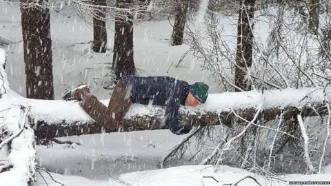 Iceland Forest Service Man hugging a fallen tree