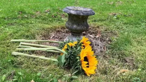 BBC Yellow sunflowers laying on the grass with a small memorial stone behind it