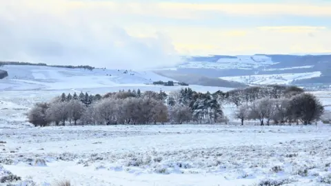 WEATHER WATCHERS - Shropshire Liam A landscape view of a field. The grass is covered in snow. In the centre, there is a large group of trees that are also covered in snow. There is mist and cloud in the air above them, and in the background ae several rolling hills and fields, all of which are white over.