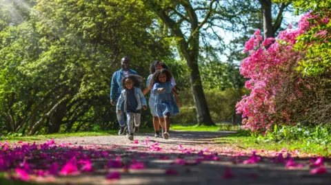 Johnny Hathaway A family of two adults and two young children stroll through the arboretum in sunshine. The trees are in leaf and there is a shrub with pink flowers in the foreground, with blooms sprinkled on the path close up to the camera. 