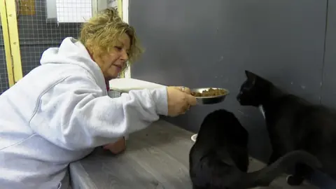 Jacqui Schafer, a woman with light curly hair wearing a grey hoodie and pink polo shirt, stood holding a metal food of dry kibbles up to a black and white cat, while another black cat eats next to them