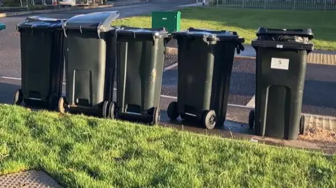 Several black wheelie-bins stand in a line at the edge of a road. Grass verges are behind and in front of the bins on a residential road. Black sacks can be seen poking out of some of the bins. 