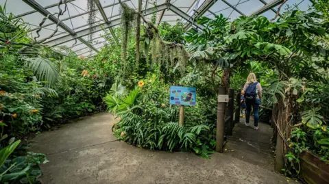 Chester Zoo A woman and child follow a path through an indoor butterfly garden