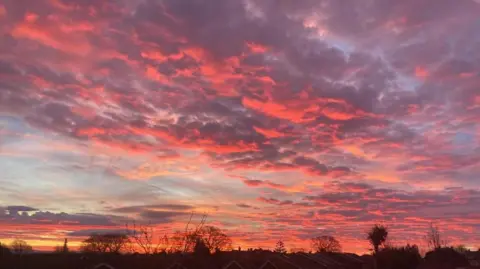 Unusual cloud formations can be seen in a bright orange and purple sky over trees and rooftops