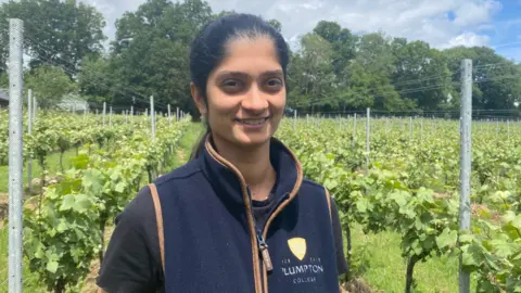 Marcella Whittingdale/BBC A woman wearing a navy gilet and a black shirt is standing at a vineyard.