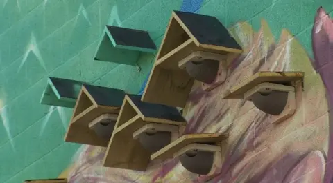 A picture showing nesting boxes on the green part of a mural