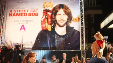 Getty Images A Street Cat Named Bob premiere - shows the ginger cat who played bob in a crowd looking at the film poster