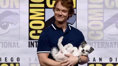 Getty Images Alfie Allen