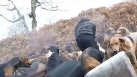 West Yorkshire Hunt Saboteurs Hunt Hunt Saboteurs with hounds