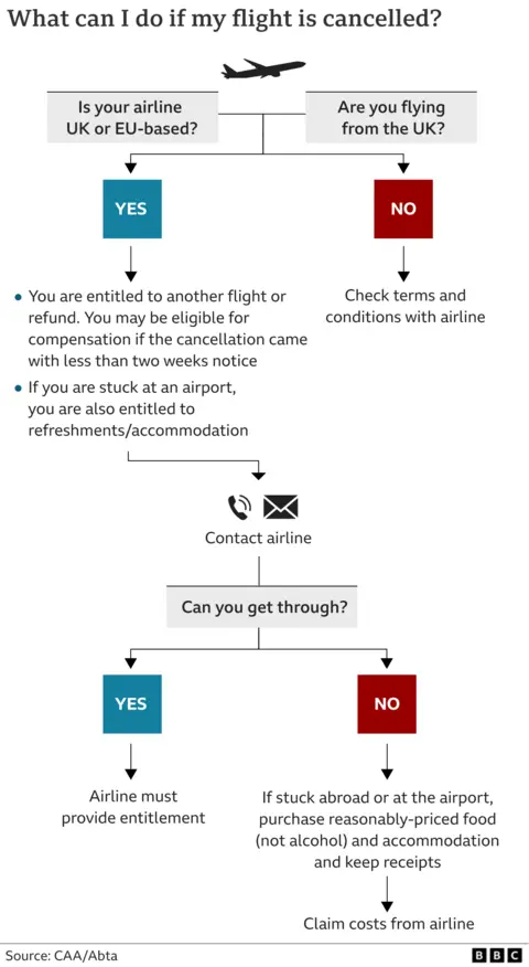 Graphic showing what you can do if your flight is cancelled