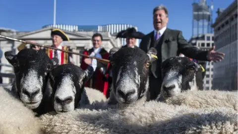 PA Alan Titchmarsh herding sheep