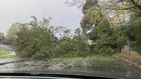 Devon and Cornwall Police Tree down in Truro