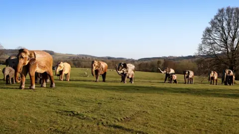 Andrew Higgins/Thousand Word Media Ltd The CoExistence Herd at Sudeley Castle in Gloucestershire