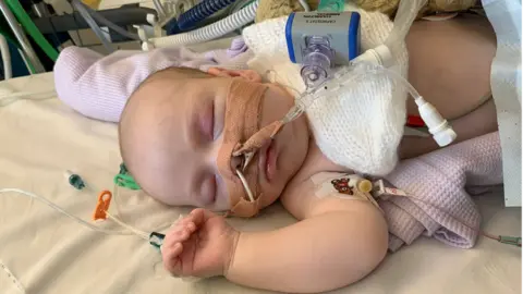 Contributed Toby on a ventilator