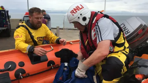 RNLI Rescued dog in the boat with the RNLI crew