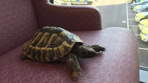 Devon and Cornwall Police Pascale