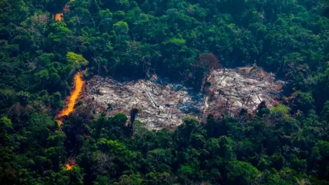 Getty Images An aerial shot from 2019 of deforestation in the Amazon