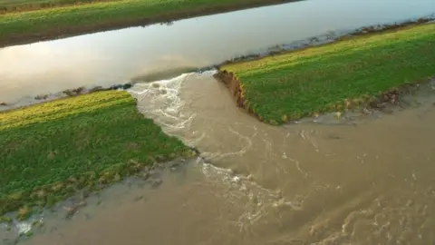 Beeswax Dyson Breach