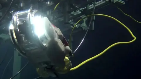 AFP Toshiba's swimming robot