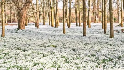 Welford Park Welford Park